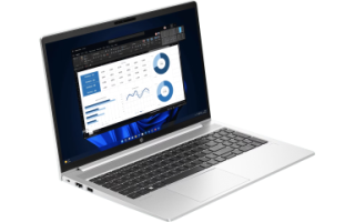 HP ProBook 450 15.6" G10 (i5/16G/1T)